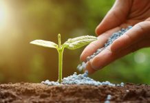 Le Brésil veut accroître ses importations d’engrais au Maroc