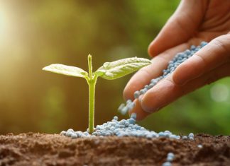 Engrais. Le Maroc conforte sa position de 5e mondial