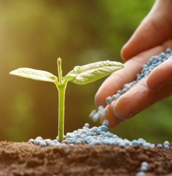 Engrais. Le Maroc conforte sa position de 5e mondial