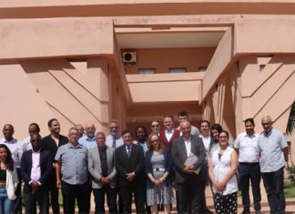 Agricole : L’APNI et l’INRA lancent un nouveau projet intitulé « Olive-FertiClim »