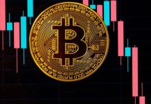 Cryptomonnaie, le bitcoin tombe sous les 18 300 dollars Cryptomonnaie, le bitcoin tombe sous les 18 300 dollars