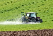 Les activités agricoles ont reculé de plus de 15% en 2022