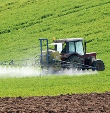 Le portefeuille « agricole » de la Banque mondiale au Maroc s’élève à 780 M$