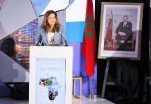 Energie : Benali souligne l’importance des investisseurs souverains