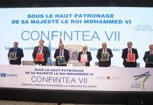 CONFINTEA VII : La création de l’Institut Africain pour l’apprentissage tout au long de la vie, est actée