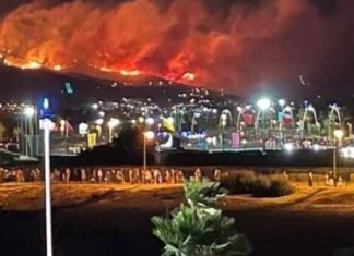 Feux de forêt à Cabo Negro : Le Procureur général du Roi annonce l’ouverture d’une enquête
