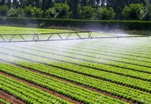 L’agriculture irriguée au Maroc entre dans une nouvelle ère