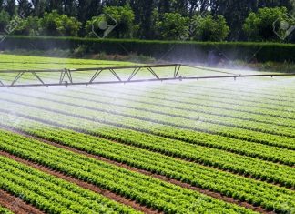 L’agriculture irriguée au Maroc entre dans une nouvelle ère