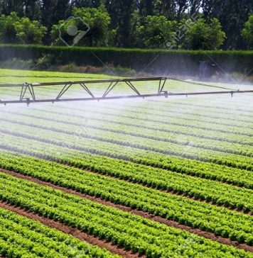 L’agriculture irriguée au Maroc entre dans une nouvelle ère