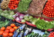 Hausse à 2 chiffres des exportations marocaines de produits maraîchers