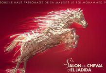 L’édition 2022 du Salon du cheval d’El Jadida s’annonce « exceptionnelle »