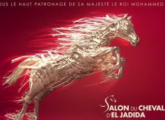 L’édition 2022 du Salon du cheval d’El Jadida s’annonce « exceptionnelle »