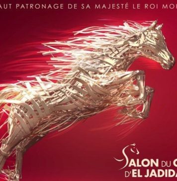 L’édition 2022 du Salon du cheval d’El Jadida s’annonce « exceptionnelle »
