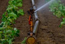 Bientôt des systèmes d’irrigation « Made in Morocco »