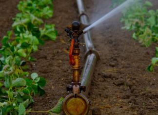 Bientôt des systèmes d’irrigation « Made in Morocco »