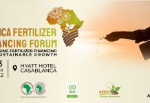 Financement des engrais : Un Forum africain à Casablanca