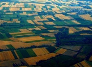 L’Etat marocain attire 14,5 MMDH d’investissements grâce à ses… terres