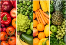 Le Maroc s’auto-suffit en fruits et légumes