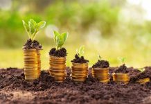 Le Maroc a besoin de 78 MM$ pour devenir « solidement » vert