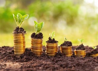 Le Maroc a besoin de 78 MM$ pour devenir « solidement » vert