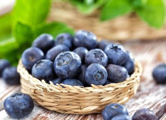 Un géant agricole chilien mise sur le Maroc