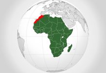 Investissements en Afrique. Le Maroc, un « grand leader »