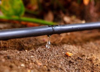 Plus de 750.000 hectares « bien » irrigés au Maroc