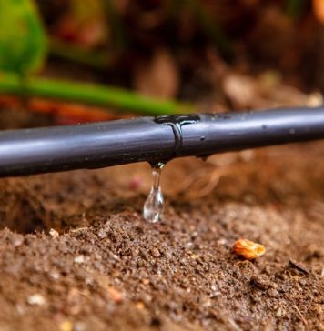 Plus de 750.000 hectares « bien » irrigés au Maroc