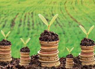 Le Maroc domine sa région dans la finance climatique