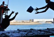 Une année record pour le port de Tan-Tan