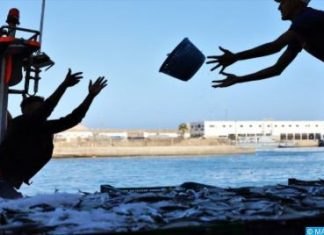 Une année record pour le port de Tan-Tan