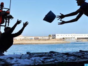 Chute importante des débarquements dans les ports marocains