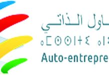 Plus de 300 000 auto-entrepreneurs actifs au Maroc
