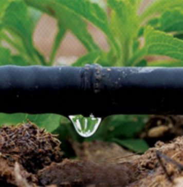 Le Maroc produit 400.000 mètres cubes d’eau dessalée