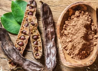 Le Maroc 2ème producteur mondial de caroube