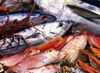 Des exportations records pour les produits de la mer marocains