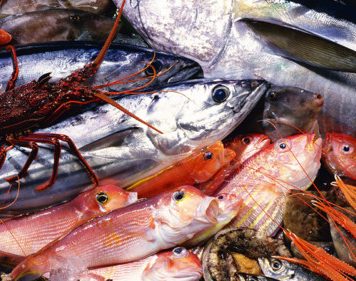 Des exportations records pour les produits de la mer marocains