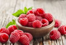 Investissement espagnol dans la framboise marocaine