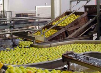 L’industrie alimentaire marocaine cartonne à l’étranger