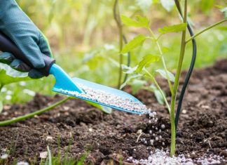 3 nouvelles usines d’engrais à Jorf Lasfar