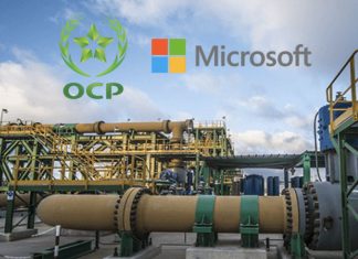 Sécurité alimentaire. OCP Africa et Microsoft s’allient pour l’Afrique