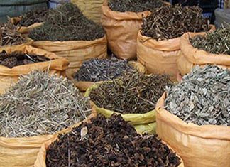 Le Maroc 2ème producteur mondial de plantes médicinales et aromatiques