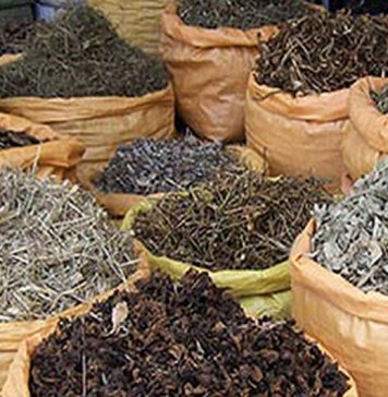Le Maroc 2ème producteur mondial de plantes médicinales et aromatiques