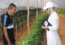 Al Moutmir S’Étend : 11 500 Hectares Supplémentaires pour la Campagne 2023-2024 Al Moutmir S'Étend : 11 500 Hectares Supplémentaires pour la Campagne 2023-2024
