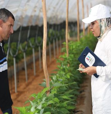 Al Moutmir S’Étend : 11 500 Hectares Supplémentaires pour la Campagne 2023-2024 Al Moutmir S'Étend : 11 500 Hectares Supplémentaires pour la Campagne 2023-2024