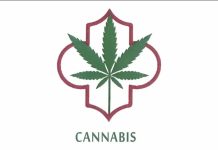Cannabis légal au Maroc : Découvrez le logo des produits dérivés licites