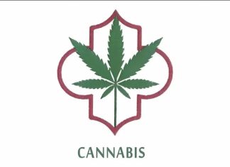 Cannabis légal au Maroc : Découvrez le logo des produits dérivés licites
