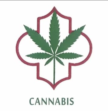 Cannabis légal au Maroc : Découvrez le logo des produits dérivés licites