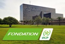 Éducation, Inclusion, Développement : Le Bilan 2024 de la Fondation OCP