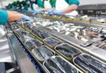 Le Conseil de la concurrence secoue le marché de la sardine industrielle